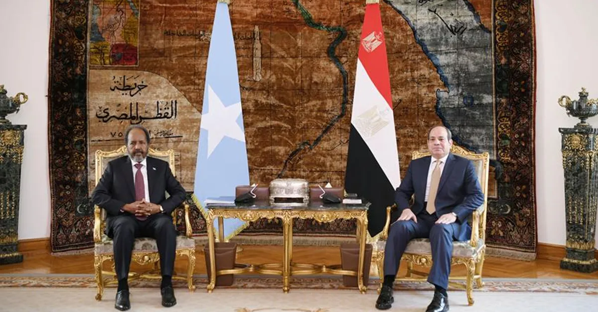 الرئيس السيسي: مصر ترفض التدخل في شؤون الصومال أو المساس ...