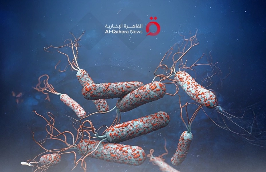 الصحة العالمية تحذر.. تصاعد مقلق لإصابات ووفيات الكوليرا عالميا