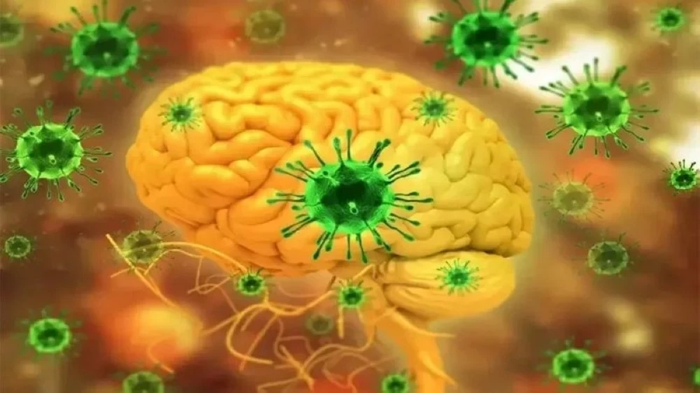 شبح "نيباه" يُهدد آسيا.. ماذا نعرف عن الفيروس القاتل؟