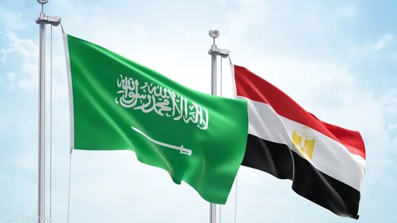 دعم كامل للسعودية.. قرارات مجلس الدفاع الوطني المصري