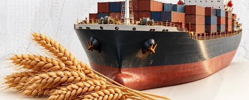 مصر تدعو لتأمين الغذاء والممرات البحرية