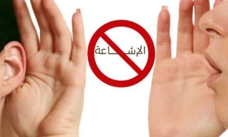 شات  Egypt.. منصة لمواجهة الشائعات والمحتوى المضلل